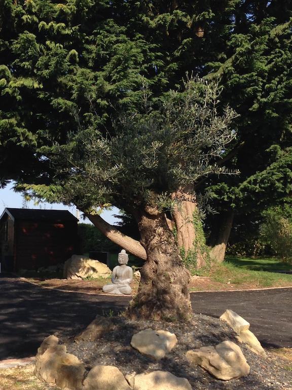 Le Domaine De Saint-Thomin Bed & Breakfast Nostang Dış mekan fotoğraf